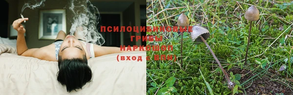марки nbome Алексеевка