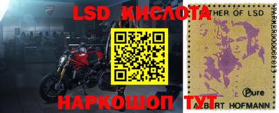 a pvp Заводоуковск