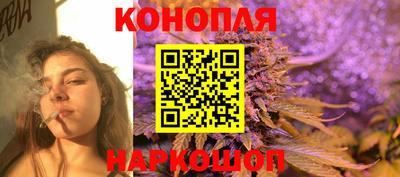 a pvp Заводоуковск